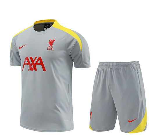 Liverpool Grey Short Training Set 24/25