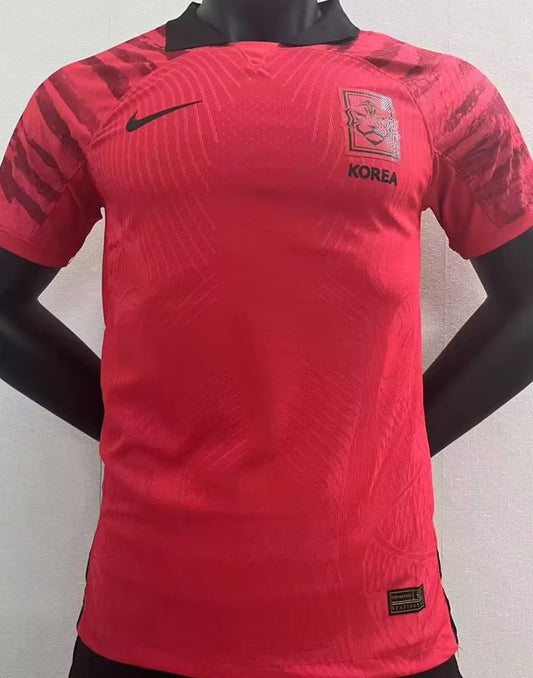 South Korea Home Kit 22/23